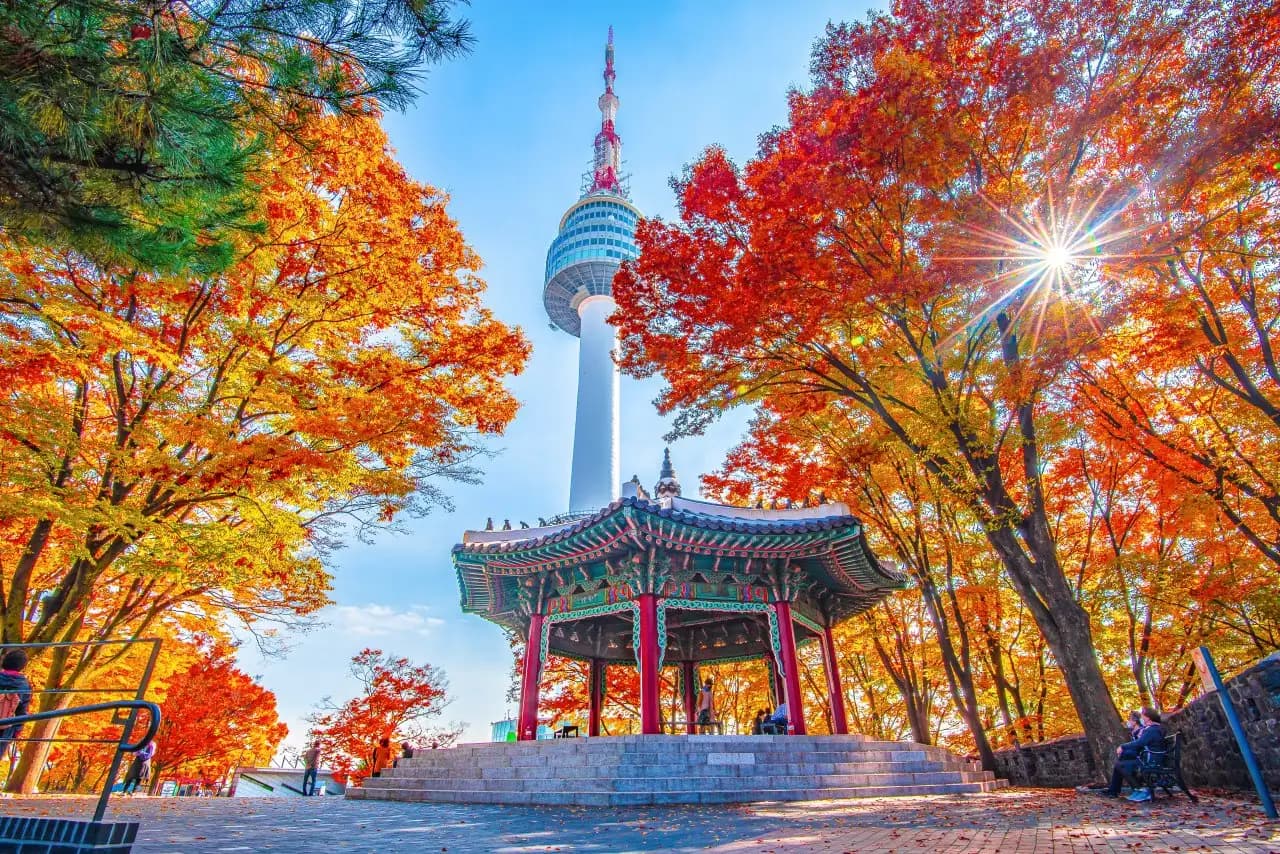 Korea Autumn Tour 6D5N