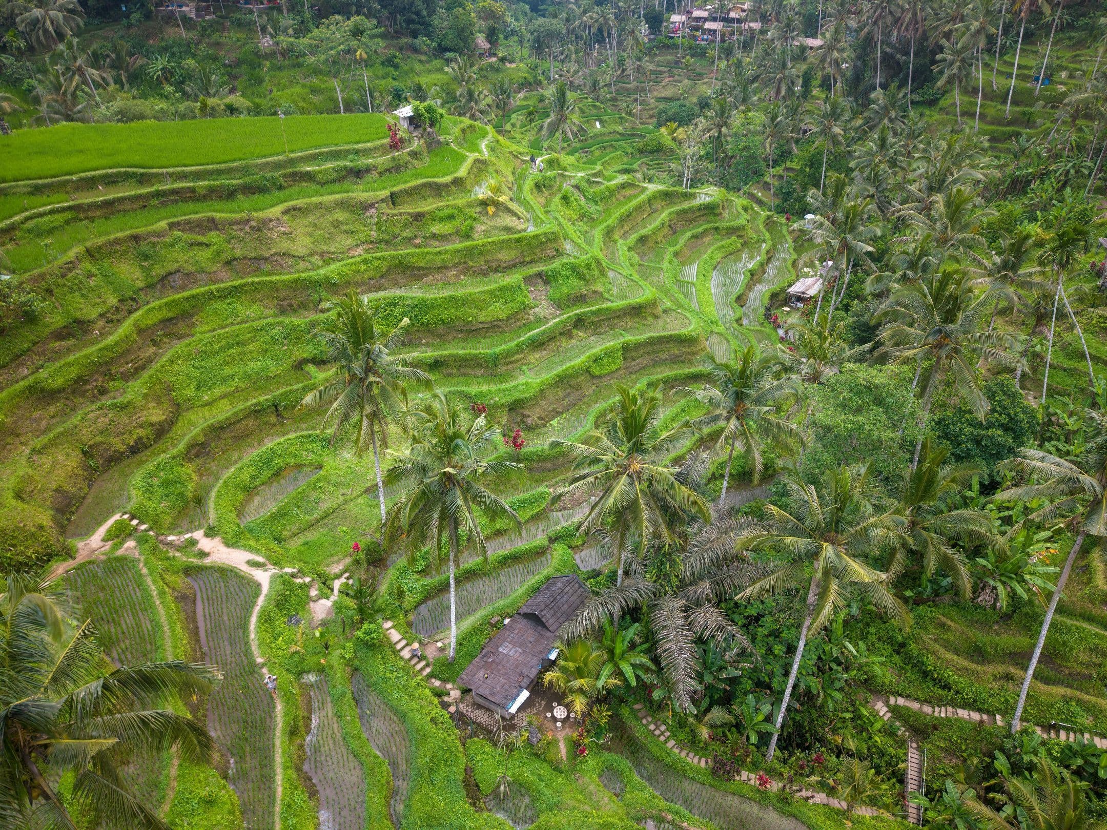 Open Trip Bali 4D3N